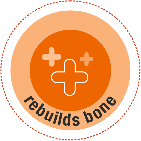 Rebuilds bone icon